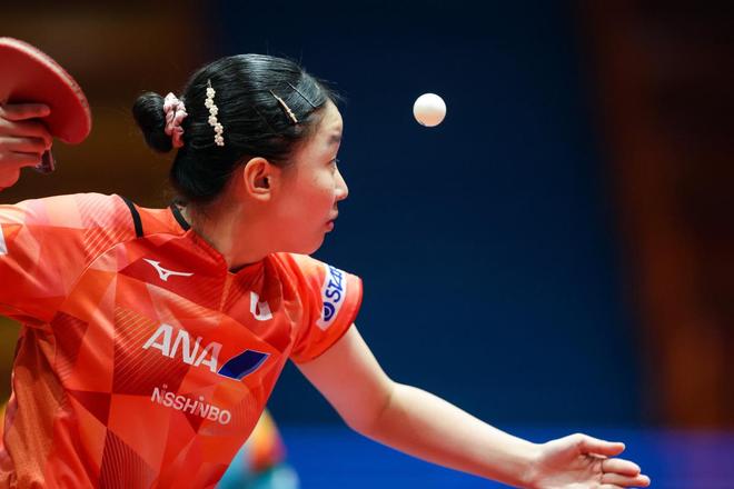 成功案例解 成功案例解