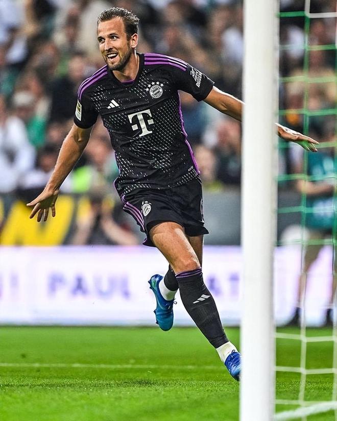 集中展示 集中展示